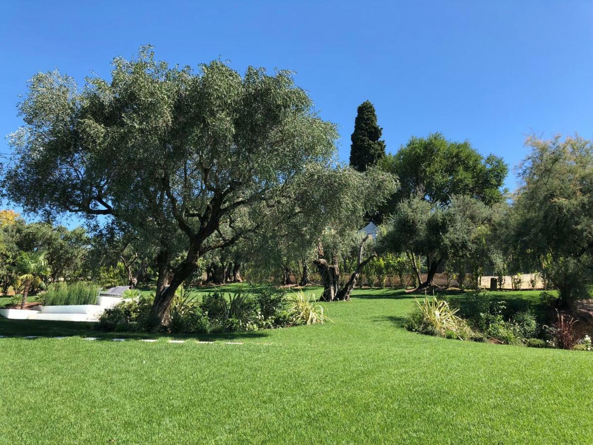 Villa Il Bacio Del Sole 베로나 외부 사진
