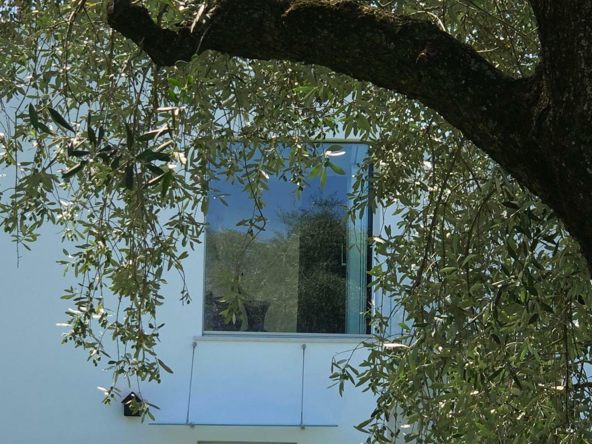 Villa Il Bacio Del Sole 베로나 외부 사진